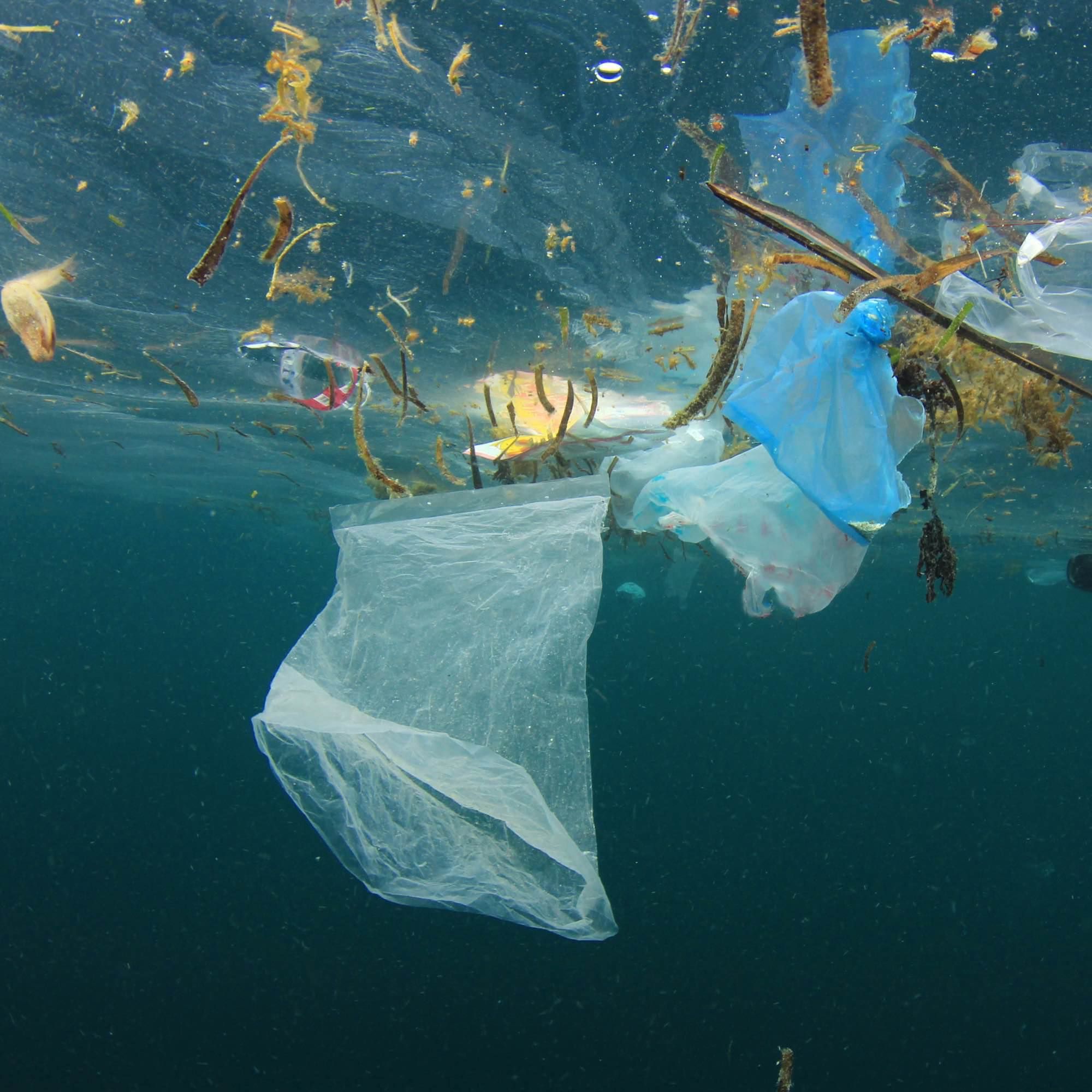 Plastik neu denken, Ozeane retten: RHINOSHIELDs Kreislauf-Ansatz für mehr Nachhaltigkeit