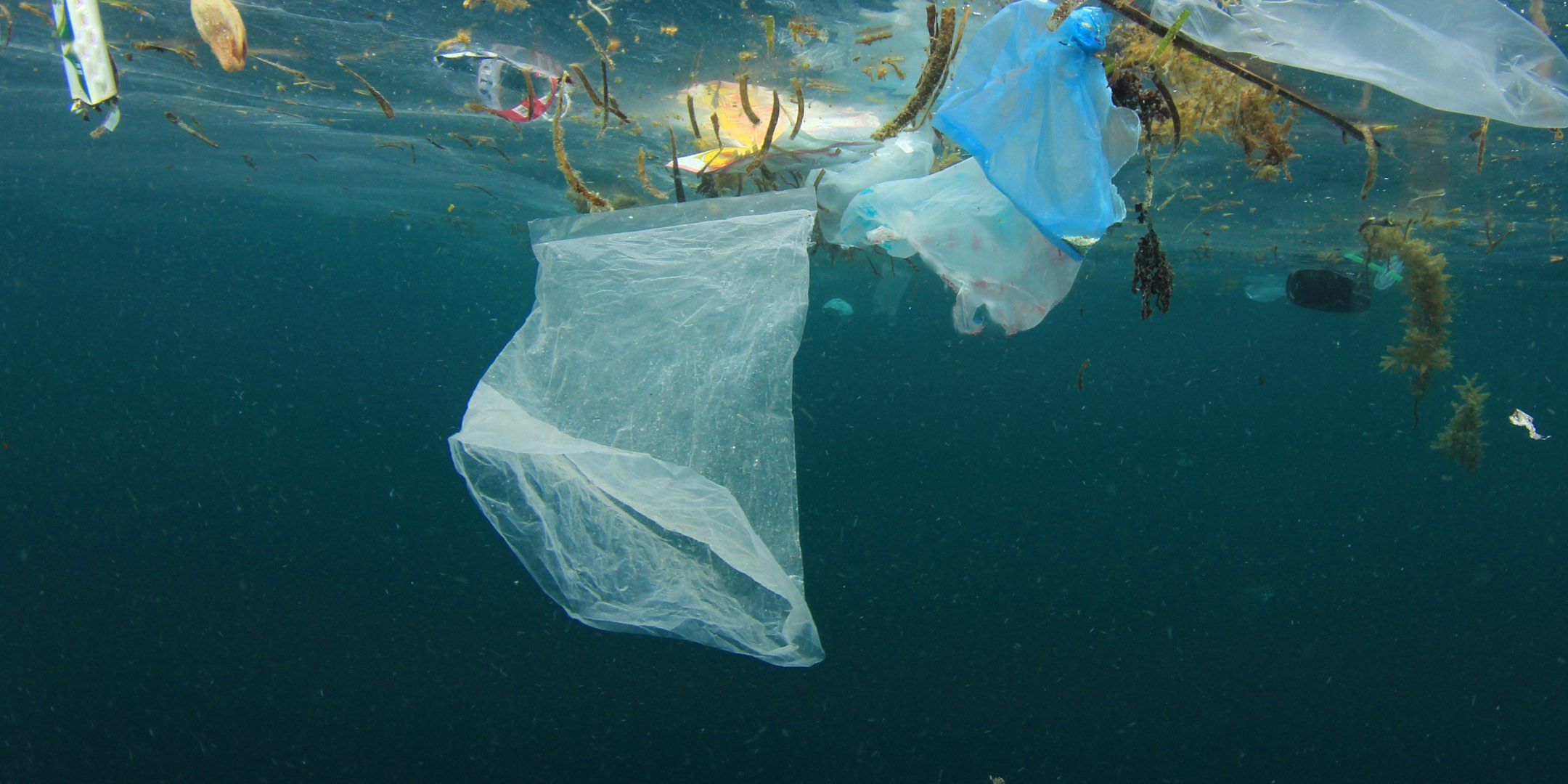 Plastik neu denken, Ozeane retten: RHINOSHIELDs Kreislauf-Ansatz für mehr Nachhaltigkeit