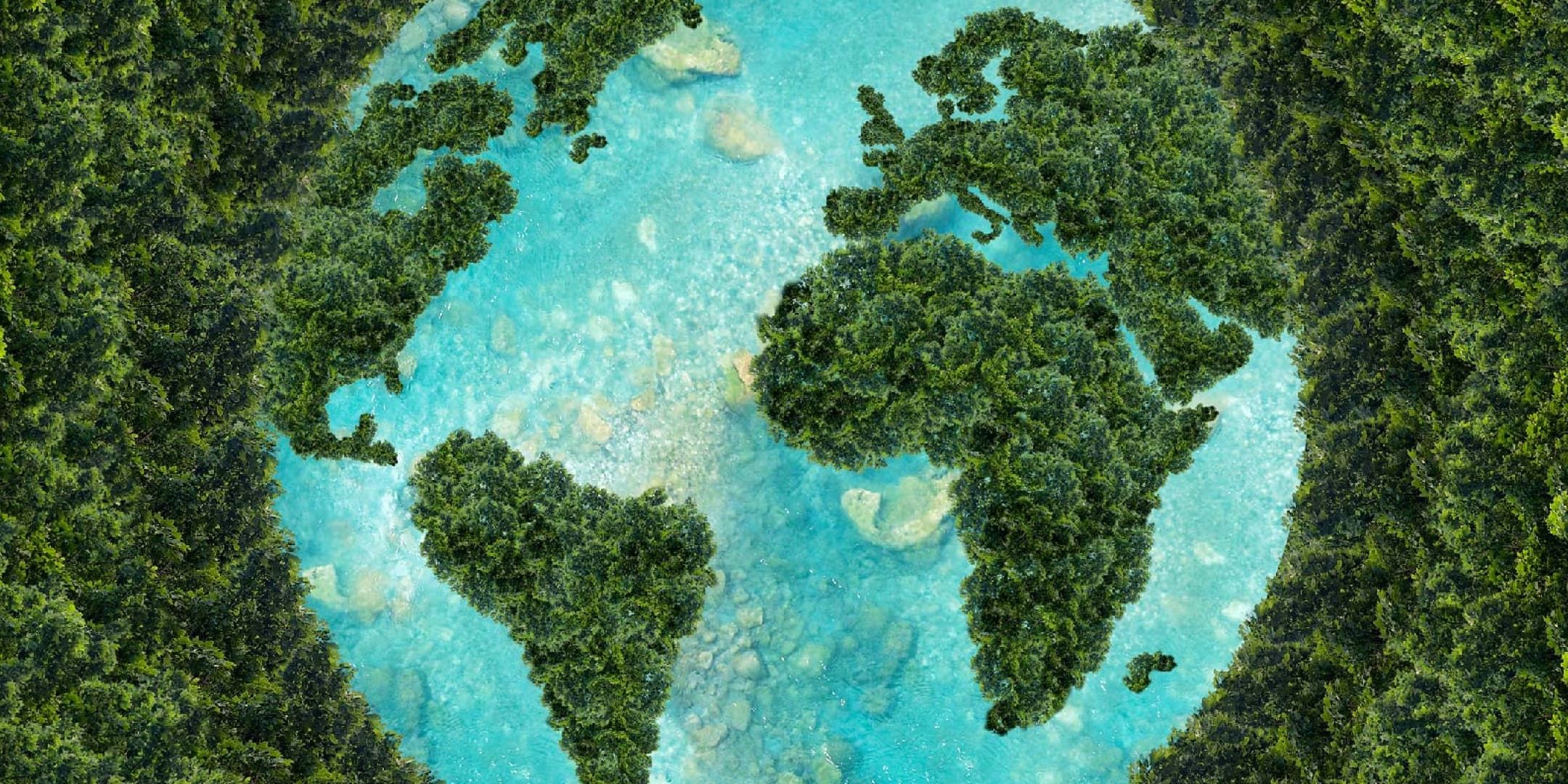 Does Adding Natural Materials Mean It’s Naturally Decomposable?