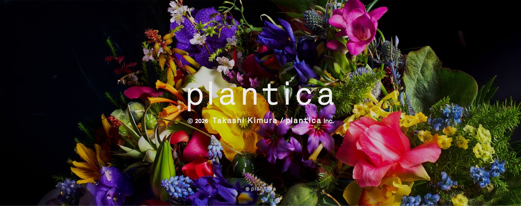 Plantica