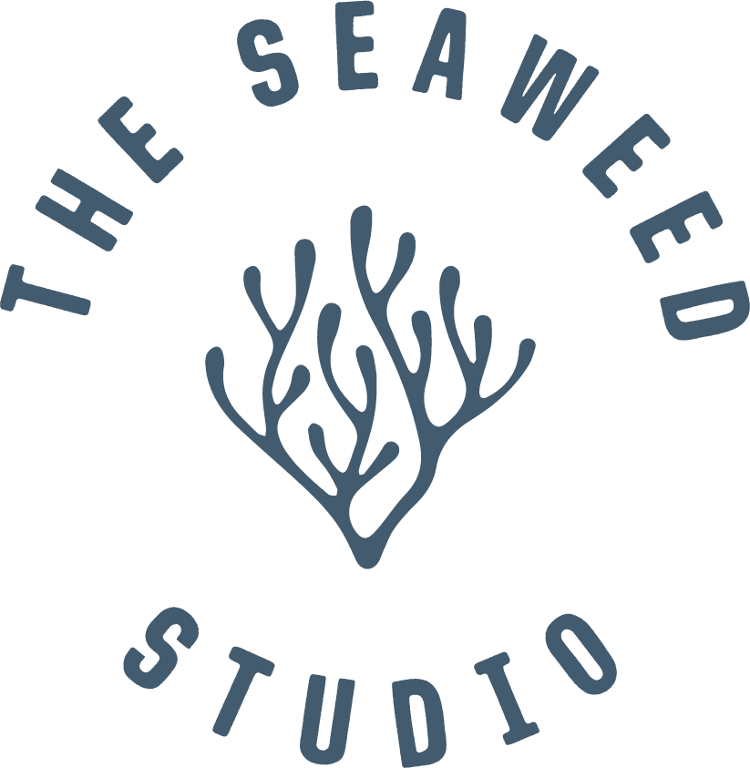 A closer look at Phone Case Made From Seaweed