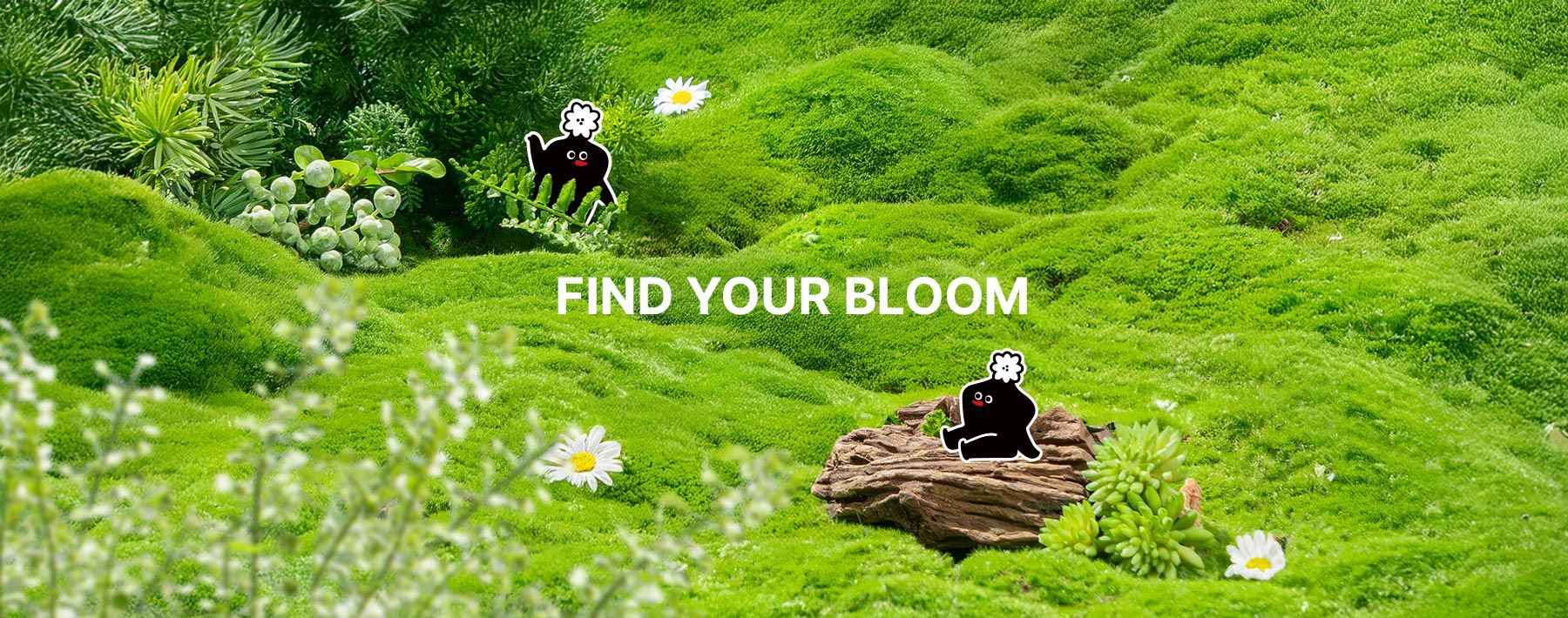 Find Your Bloom