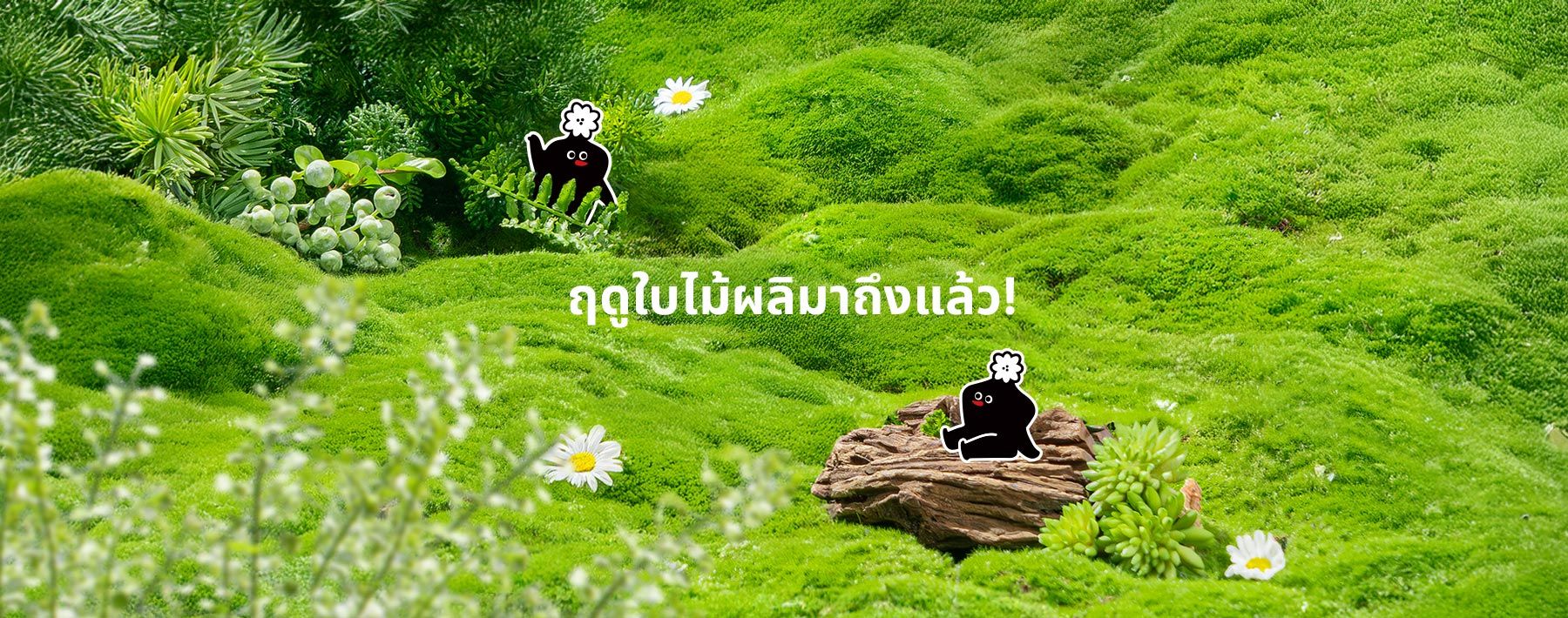 สำรวจบุคลิกภาพการเที่ยว