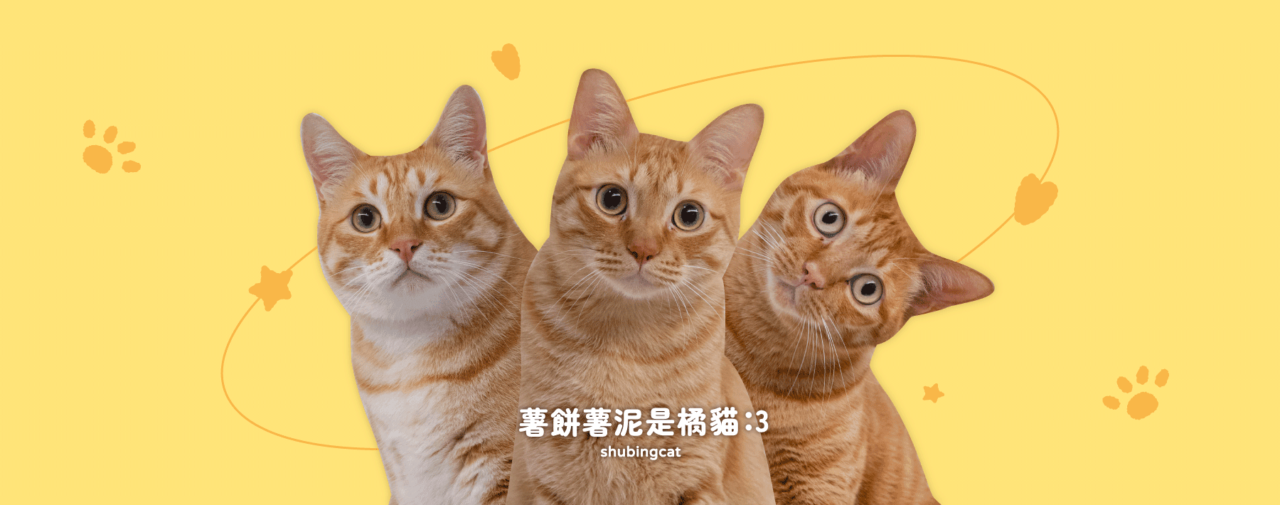 Shubingcat