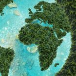 Does Adding Natural Materials Mean It’s Naturally Decomposable?